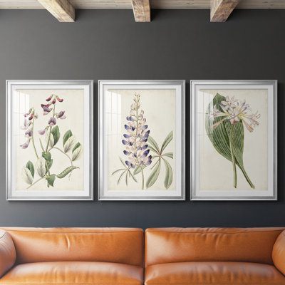 Antique Botanical Collection I  -Custom Framed  Premium Print W Matt - 3 Pieces