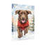 Animaux, chien, chandail rouge, scène hivernale-266421591