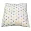 Aurel Square Scatter Cushion