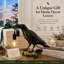  Lampe de bureau Raven-1461513799