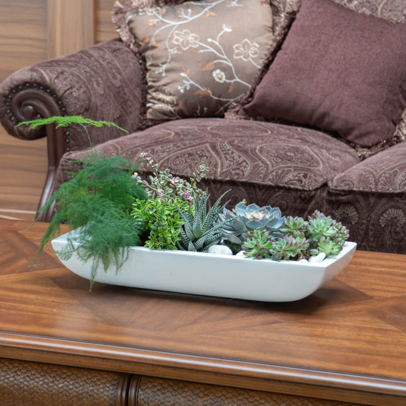 Boîte à fleurs Bezout Fiberstone, Blanc, H 4 po x l 25 po x p 9,5 po