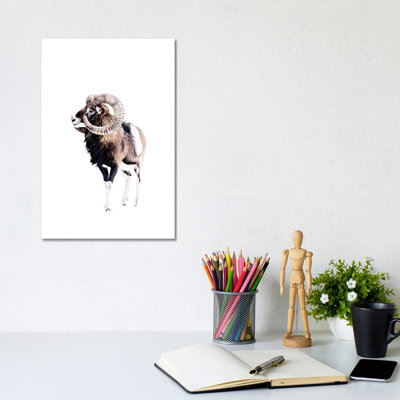 Mouflon Ram White by Monika Strigel - Wrapped Canvas Painting
