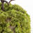 11'' Faux Moss Topiary