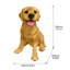 Statue Labrador Retriever, une sculpture de chien réaliste, parfaite pour la décoration de la maison et du jardin, faite de résine.