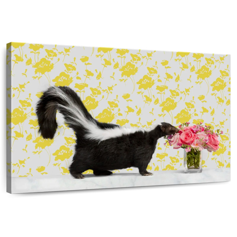 Skunk And Roses, 24" H x 36" W