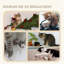 48cm H Cat Tree