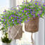 Plantes artificielles garanties artificielles, résistantes aux rayons UV et résistantes à la décoloration pour jardinières suspendues-503786372-503786379
