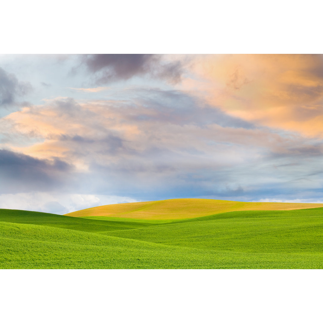 Palouse Landscape von Robh - Druck