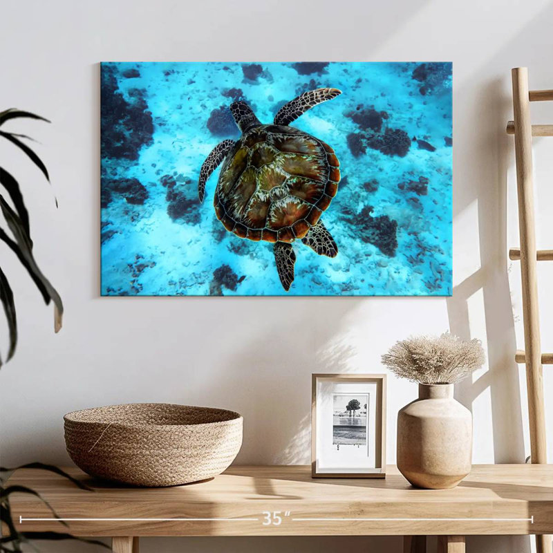 Brampt Turtle Habitat, 16" H x 24" W