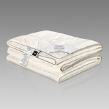 Celesta All Season Down Alternative Comforter