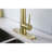 Red Cloud Pull Down Kitchen Faucet-86879991