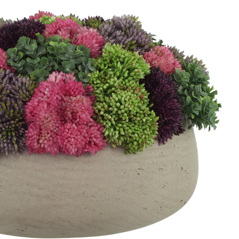 Sedum Arrangement in Fiberstone Planter, Light Gray