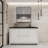Enderlin 58.82 " W Freestanding Standard Single Vanity Bathroom Vanity With Plastic Top-1573447489