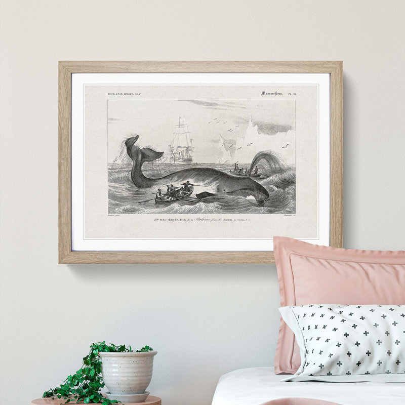 Hunting a Bowhead Whale by Charles dOrbigny - Framed Print, 48cm H x 65cm W x 2cm D, Oak Framed