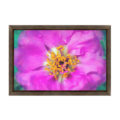 Up Close and Passionate by Hal Halli. Paper Print - Mounted & Framed with Clear Acrylic