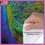 Vibrant Peacock Feathers Duvet Covers-125233461