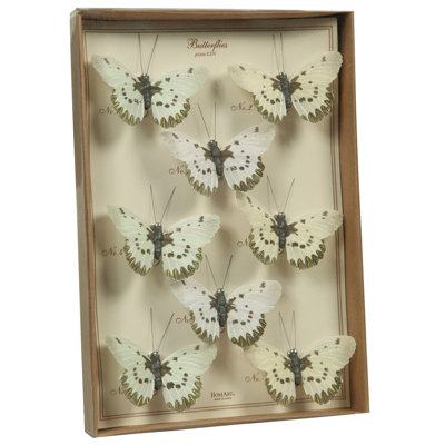 Acuna Feather Butterfly Set