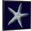 « Indigo shells IV » par vision studio-impression-538534982-538534983