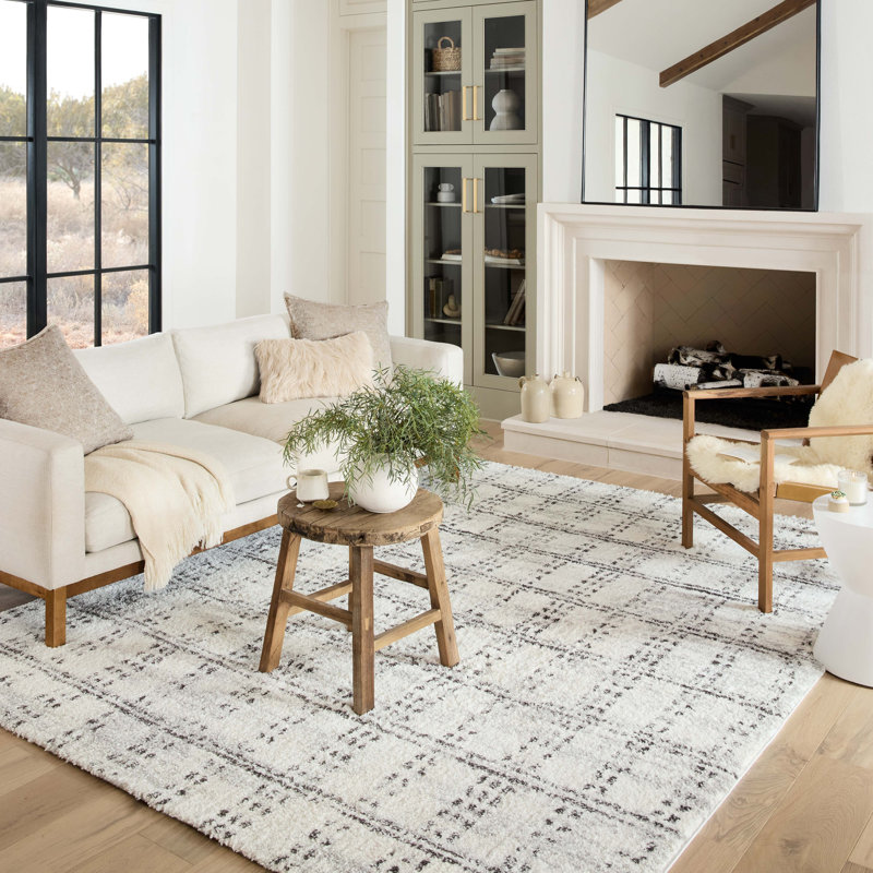 Denya Shag Cream / Grey Area Rug, Rectangle 5'3" x 7'6"