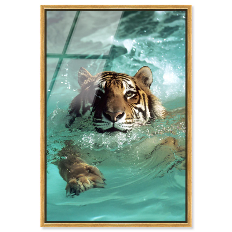 Oliver Gal Feline Pool Dip Animals - Framed Acrylic Glass Wall Art, Black, 24" H x 16" W