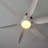 Leibman 6-Blades 66" Ceiling Fan with Remote Control and LED Light-1191864463