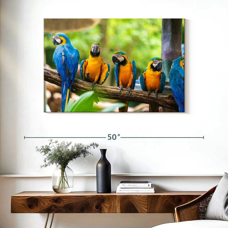 Brampt Macaw Party, 26" H x 39" W