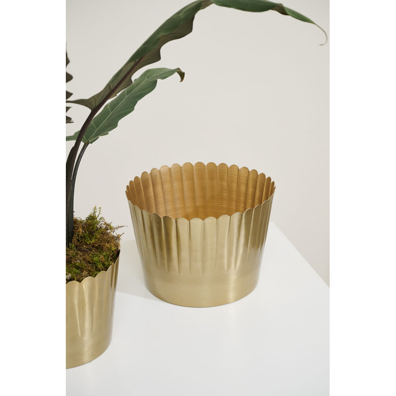 Pot Delicata 10 po x 7 po