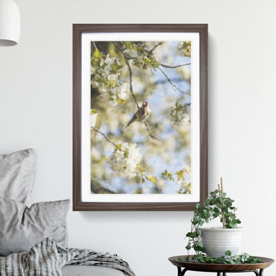 Goldfinch Bird in a Cherry Tree - Picture Frame Painting