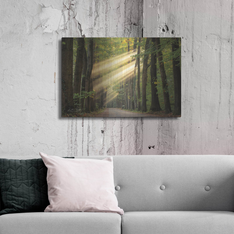 "Rayzor Light" par Martin Podt, H 24 po x l 36 po