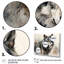 Loup solitaire, impression sur toile 3 pièces-1945418540