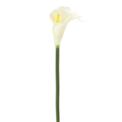 Lillies Arrangement