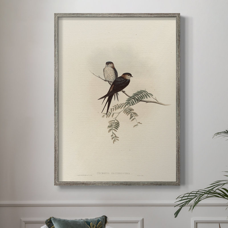 «Vintage Animal Print», impression encadrée en bois massif