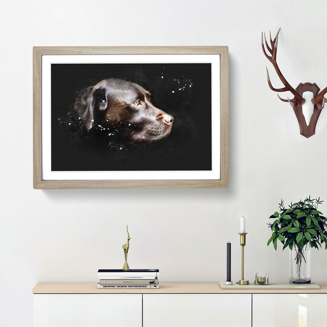 Chocolate Brown Labrador Dog - Framed Print