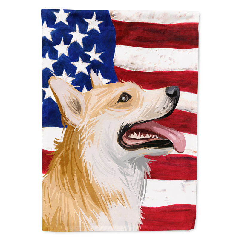 Polyester à 2 côtés 28 x 40 po drapeau maison, Welsh Corgi Pembroke