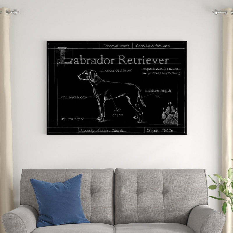 "Blue Labrador Retriever" par Ethan Harper, reproduction d'art sur toile, H 9,625 po x l 13,625 po x P 1 po, Cadre blanc