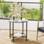 Kiyrah Glass Top End Table