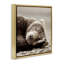 Art sur toile Cozy Sleeping Bear par Danita Delimont-2127821234-2127821239