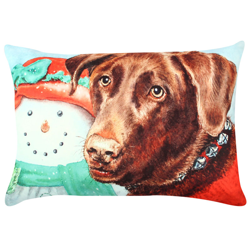 Premium Washable Cushion with Removable Cover, 13 x 19 in, 50% Cotton / 50% Polyester | Silicone Filling, Concealed Zip, Ironable | Perfect for Home Decor, Sofas, and Seating Comfort