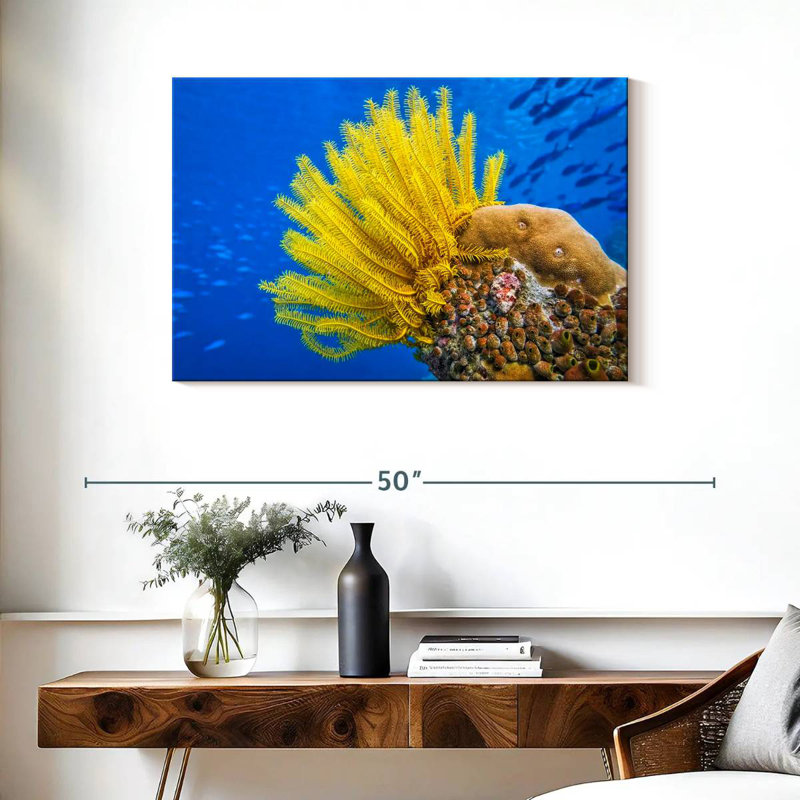 Étoile de mer à plumes jaunes Brampt, H 24 po x l 36 po