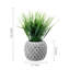 25.4cm Faux Onion Grass Grass