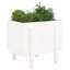 Meenakshi Wood Raised Garden Bed-1774958731-1774958734-1774958768