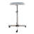 Salon Rolling Utility Cart