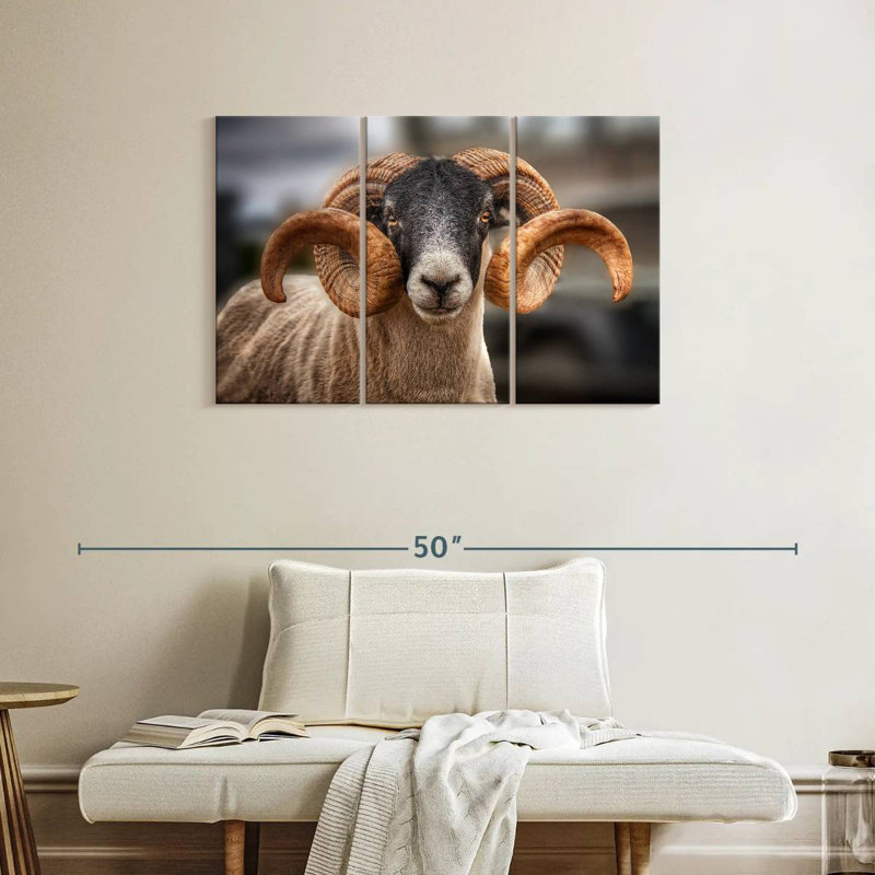 Brampt Scottish Blackface Ram, 24" H x 38" W