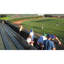 Arcadie Folding Stadium Seat
