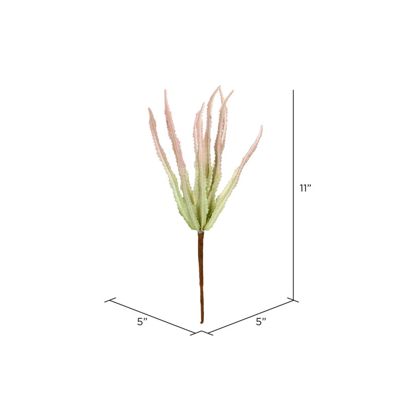 Vaporisateur artificiel Haworthia