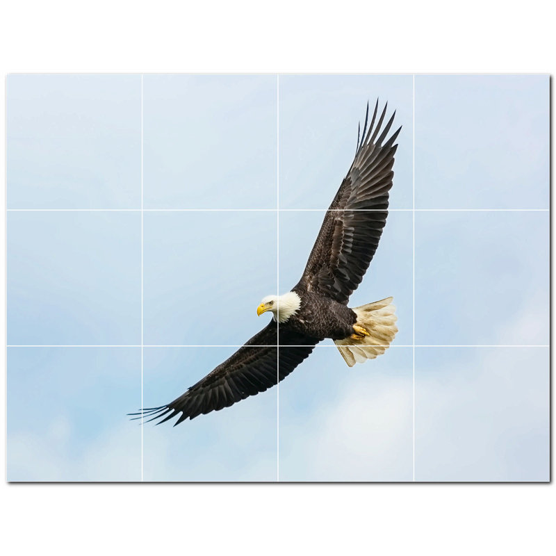 Photo d'oiseau 8 x 8
