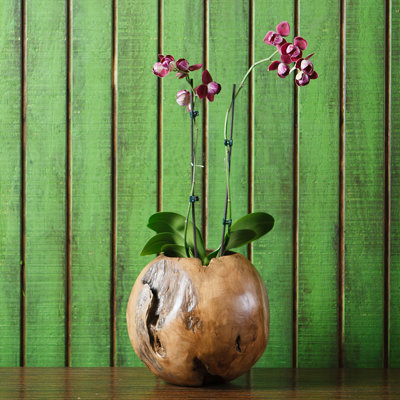 Wood Decorative Bowl