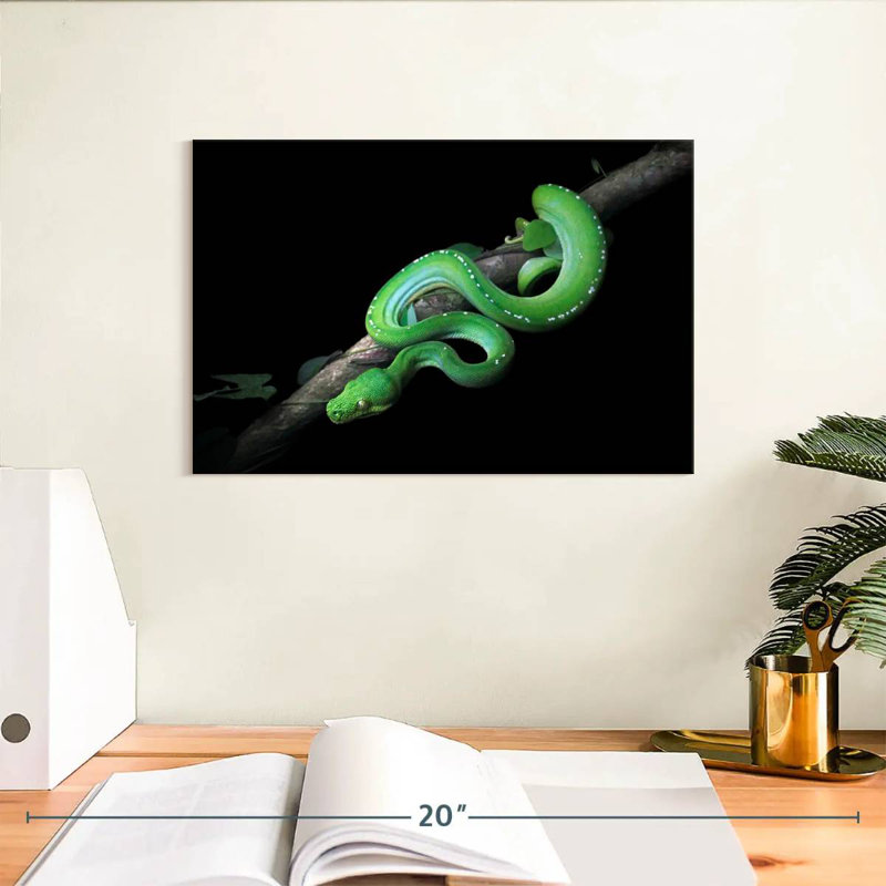 Brampt Green Python Slithering On A Branch, 8" H x 12" W