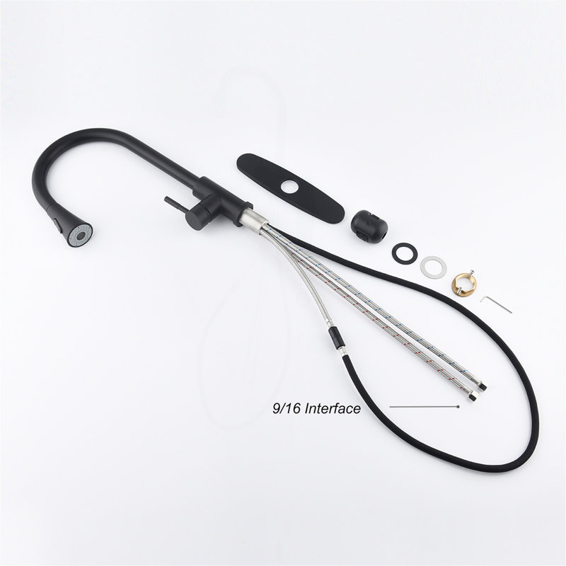 Kitchen Faucet With Pull Out Spraye