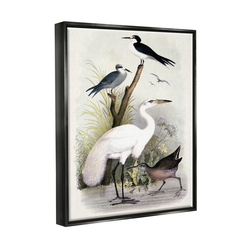 Oiseaux de grue variés rassemblés au bord de la rivière par Piddi - Peinture, Cadre flottant noir de jais